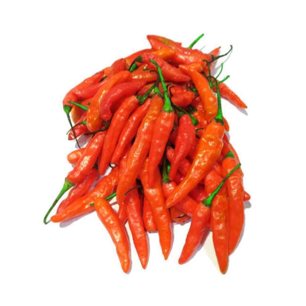 Cabe Rawit Merah