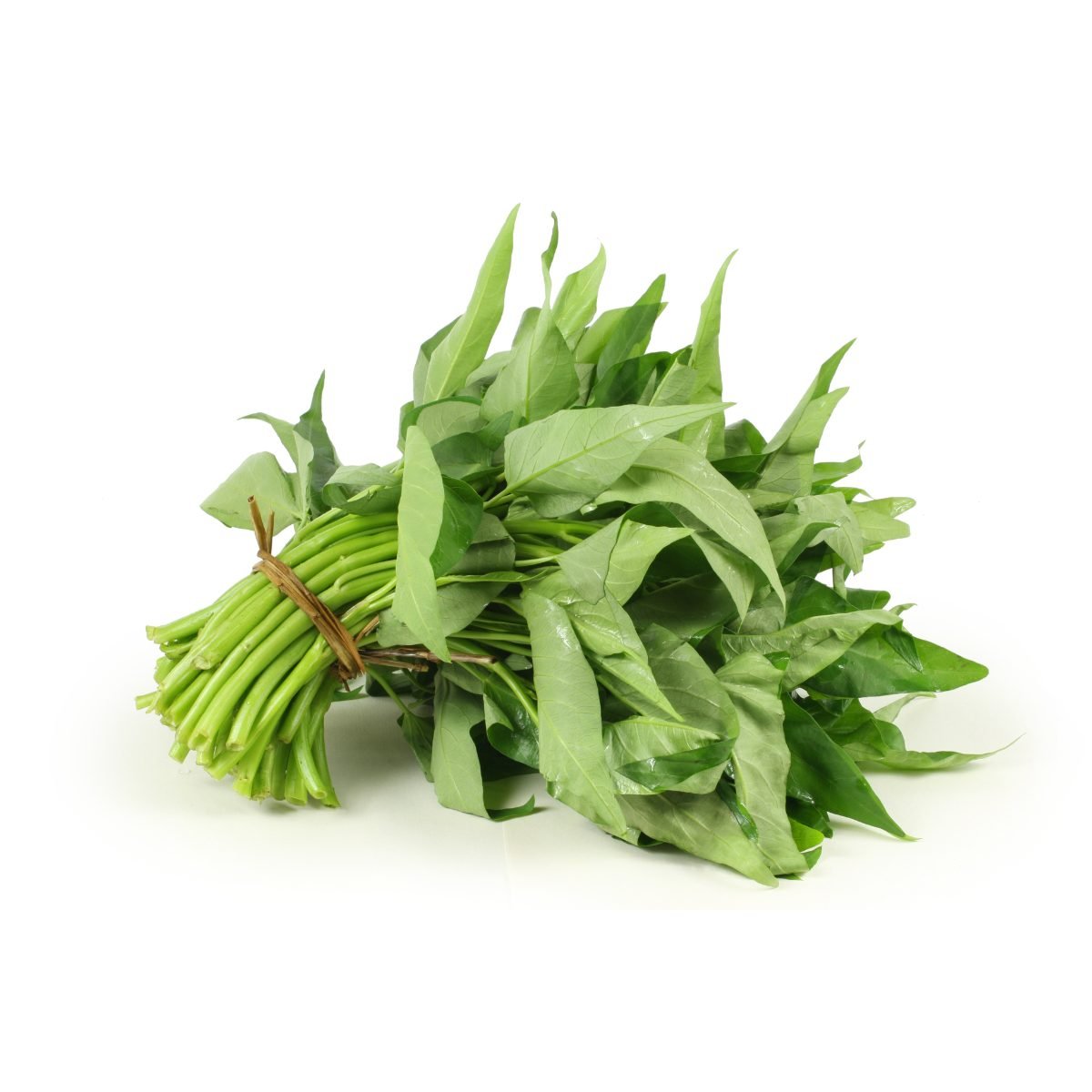 Kangkung
